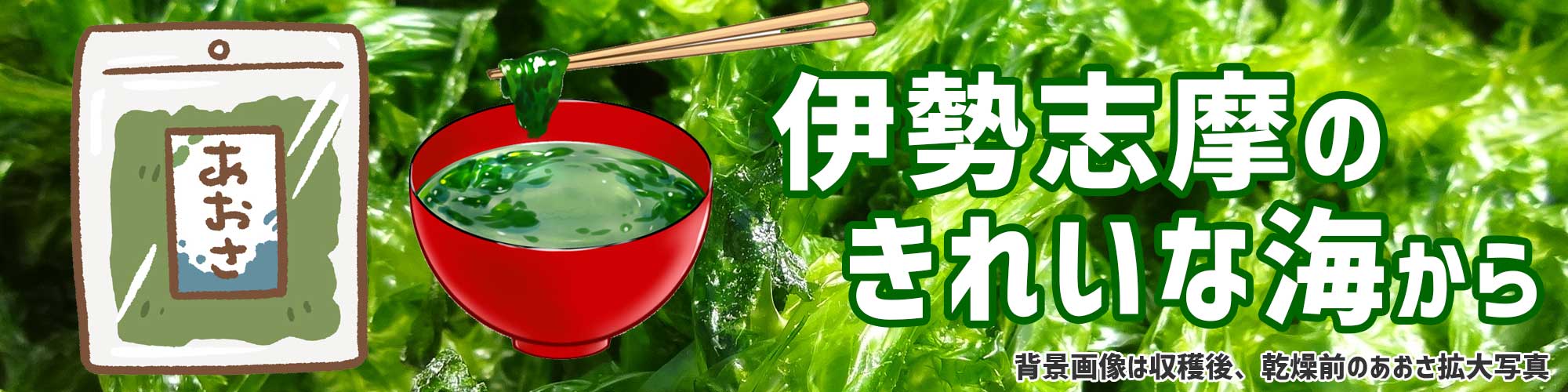 伊勢志摩のきれいな海から採れたあおさ